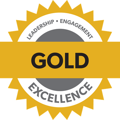 Gold Chapter Standards Medal - Leadership, Engagement, Excellence