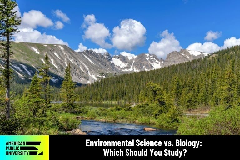 stream in wilderness