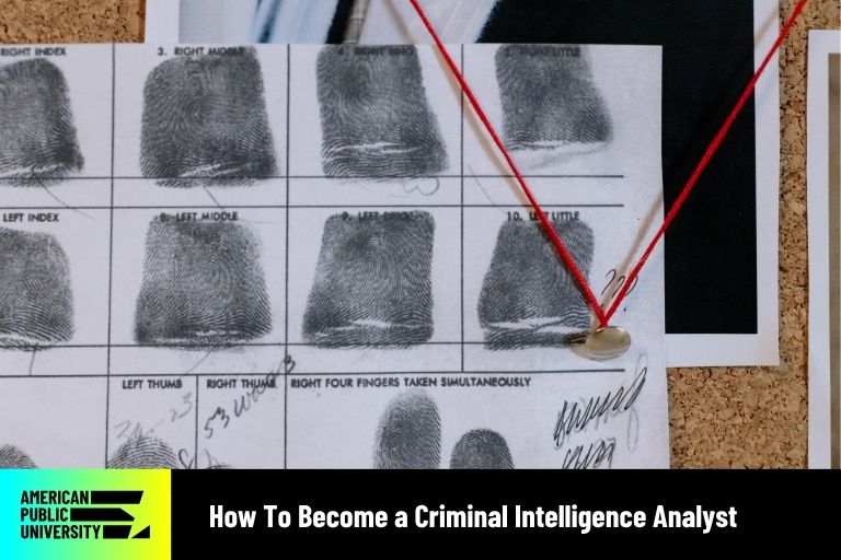 How to Become a Criminal Intelligence Analyst