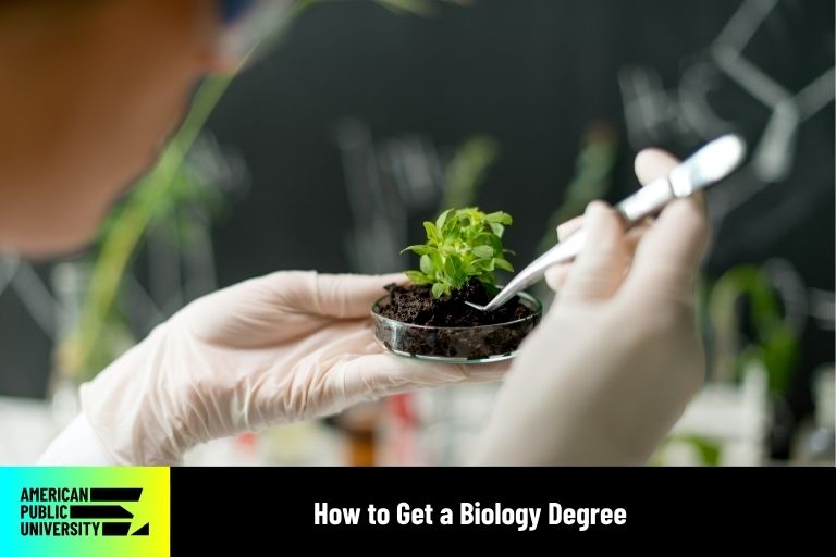 how to get a biology degree