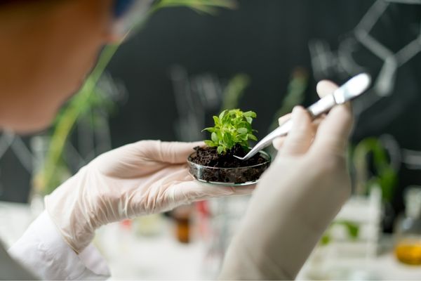 how to get a biology degree