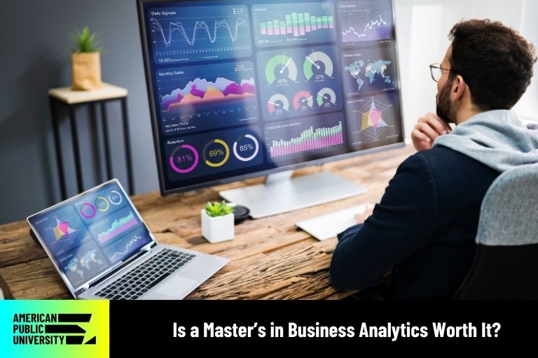 Business Analytics student looking at data
