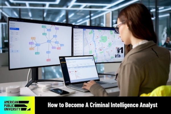 criminal justice analyst
