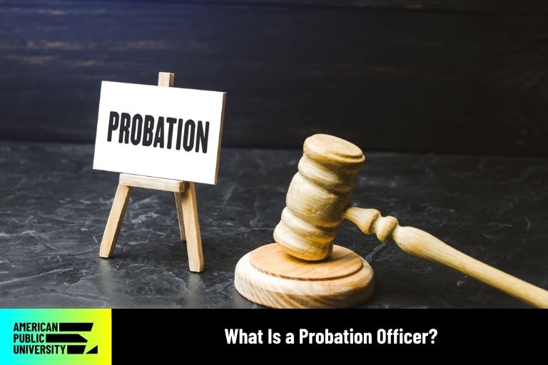 probation written on canvas next to gavel