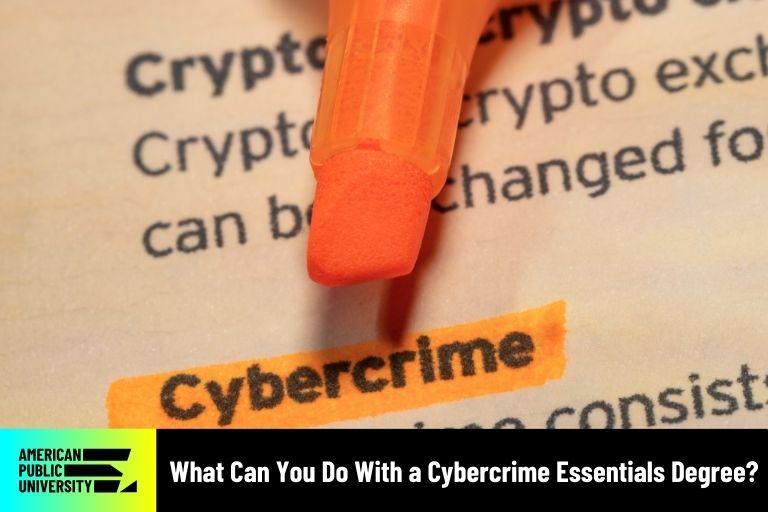 cybercrime highlighted in textbook