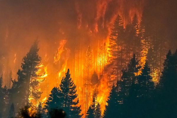 fire science degree students study wild fires