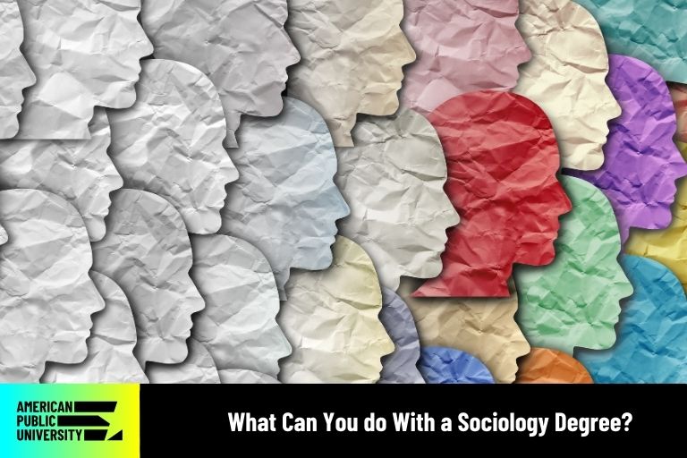 sociology degree icon