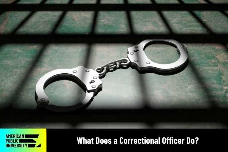 correctional officer's handcuffs