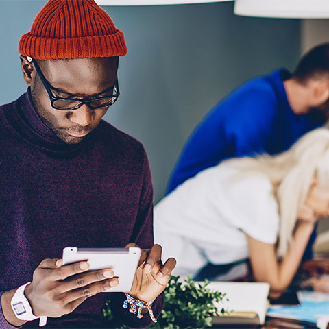 International Relations and Global Security, Bachelor of Arts